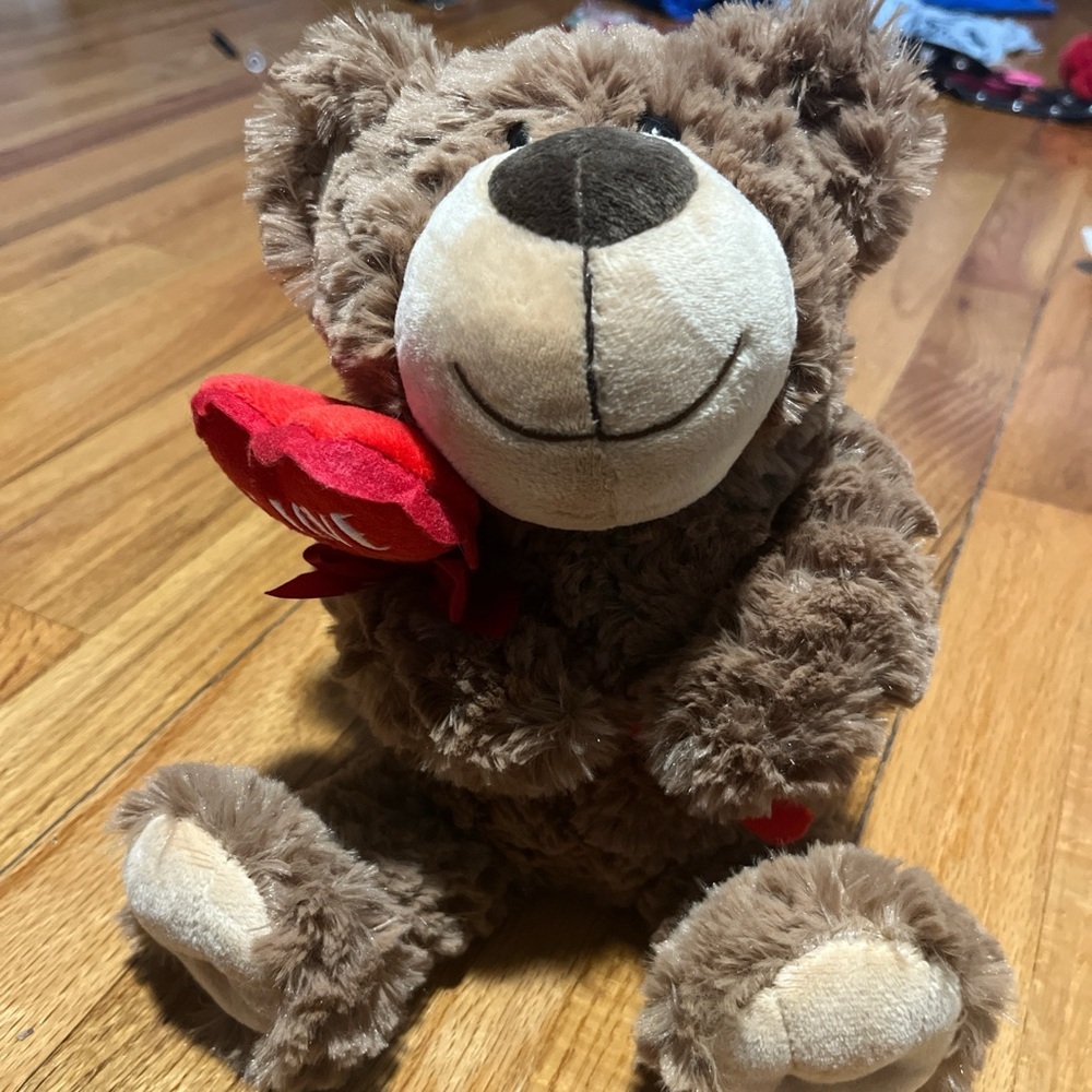 valentines bear